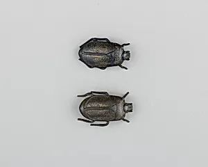 Pair of Sword-Grip Ornaments (Menuki)