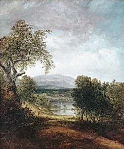 A River Glimpse
