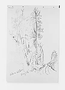 Ash and Alder Aug 18 1885 (from Sketchbook X) by William Trost Richards