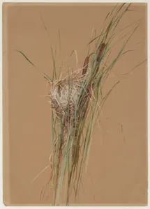 Bird's Nest in Cattails