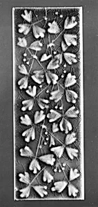 Border Tile