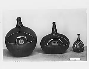 Bottle