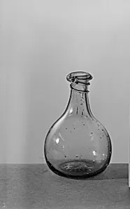 Bottle