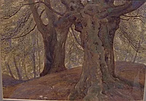 Burnham Beeches by Thomas Charles Farrer