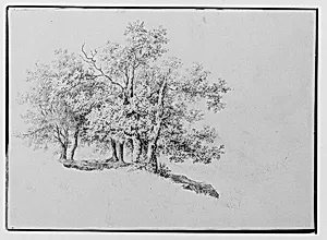 Copse of Trees on a Riverbank (from Sketchbook)