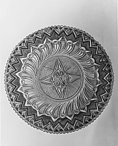 Dish