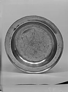 Dish