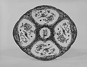 Dish