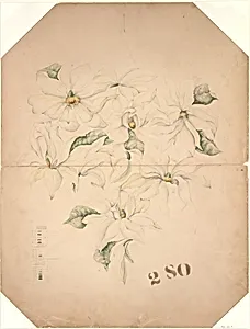 Drawing of Magnolia Vase with Enameling Notations (?)