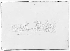 Farm Meadow Bordered by Trees (from Sketchbook)