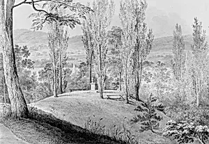 Grove of Poplars with a Memorial Bust, David Hosack Estate, Hype Park, New York (from Hosack Album) by Thomas Kelah Wharton