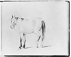 Horse (from Sketchbook) by Francis William Edmonds