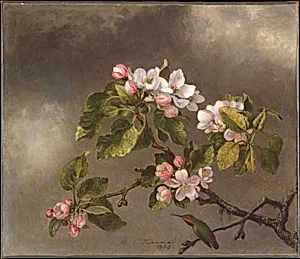 Hummingbird and Apple Blossoms