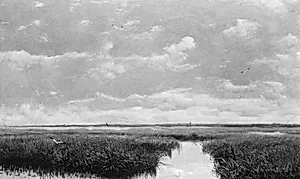 Marsh Grass by Milne Ramsey