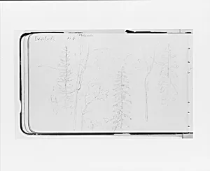 Mission (Warnock?): Landscape with Mountains and Foreground Trees (from Sketchbook) by Albert Bierstadt