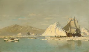 Off Greenland—Whaler Seeking Open Water