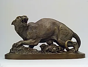 Panther and Cubs
