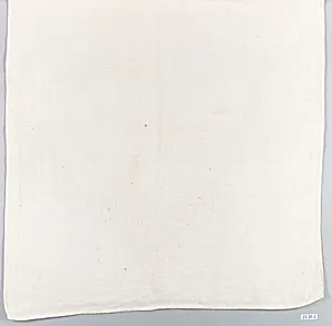 Pillow Slip