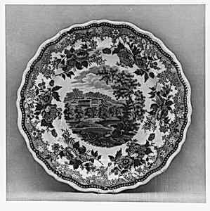 Plate