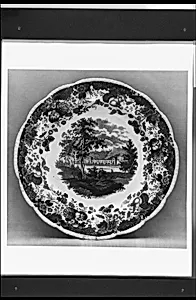 Plate