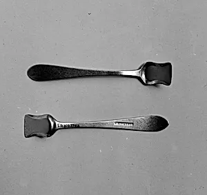 Salt Shovel by T. A. Davis