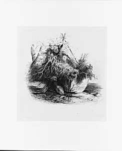 Scene (from McGuire Scrapbook)