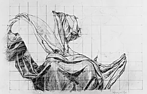 Science Instructing Industry: Drapery Study