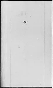 Scribble (from Sketchbook)