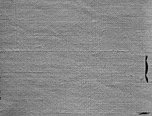 Sheet