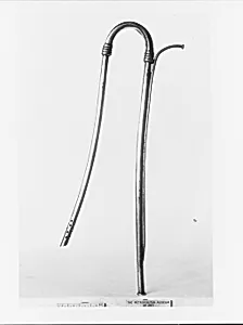 Siphoning Tube