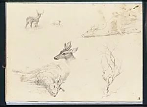 Sketchbook of Landscape and Animal Subjects
