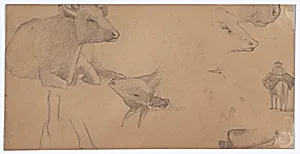 Sketches of a Donkey, a Cow, and a Man on Horseback by Elihu Vedder