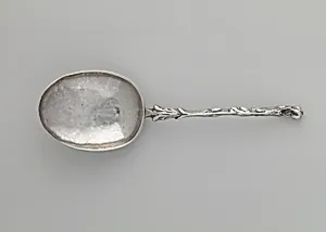 Spoon