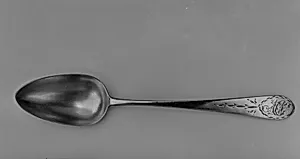 Spoon