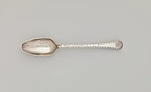 Spoon