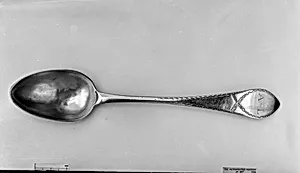 Spoon
