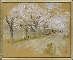 Spring Landscape