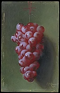 Still Life with Grapes