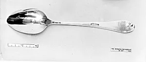 Table Spoon