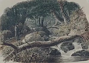 The Entrance to a Wood