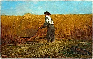 The Veteran in a New Field