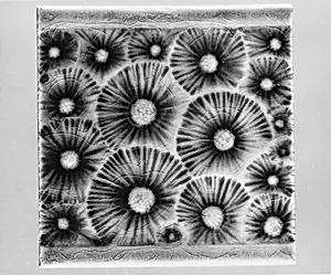 Tile
