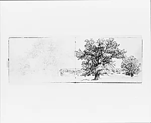 Trees and Distant Landscape (from Sketchbook VII) by William Trost Richards