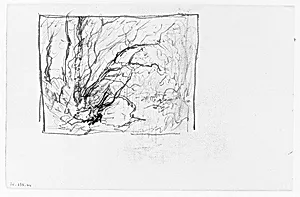 Trees in Wood (from Sketchbook)