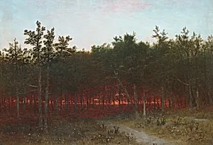 Twilight in the Cedars at Darien, Connecticut