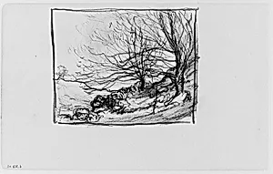 Two Trees on a Hill (from Sketchbook)