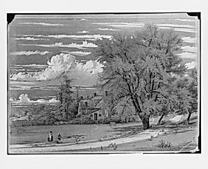 Willow Tree, Harlem Creek, New York by William Rickarby Miller