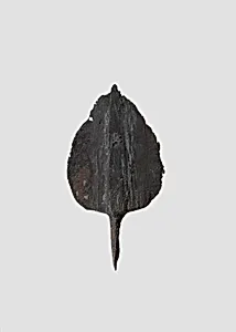 Arrowhead