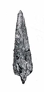 Arrowhead