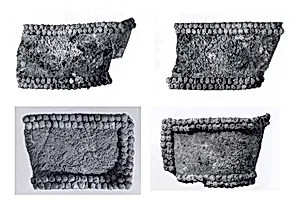 Belt fragments